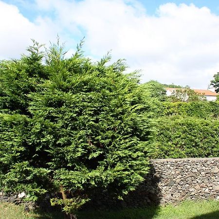 Apartamento Mar E Serra Ponta Delgada Zewnętrze zdjęcie