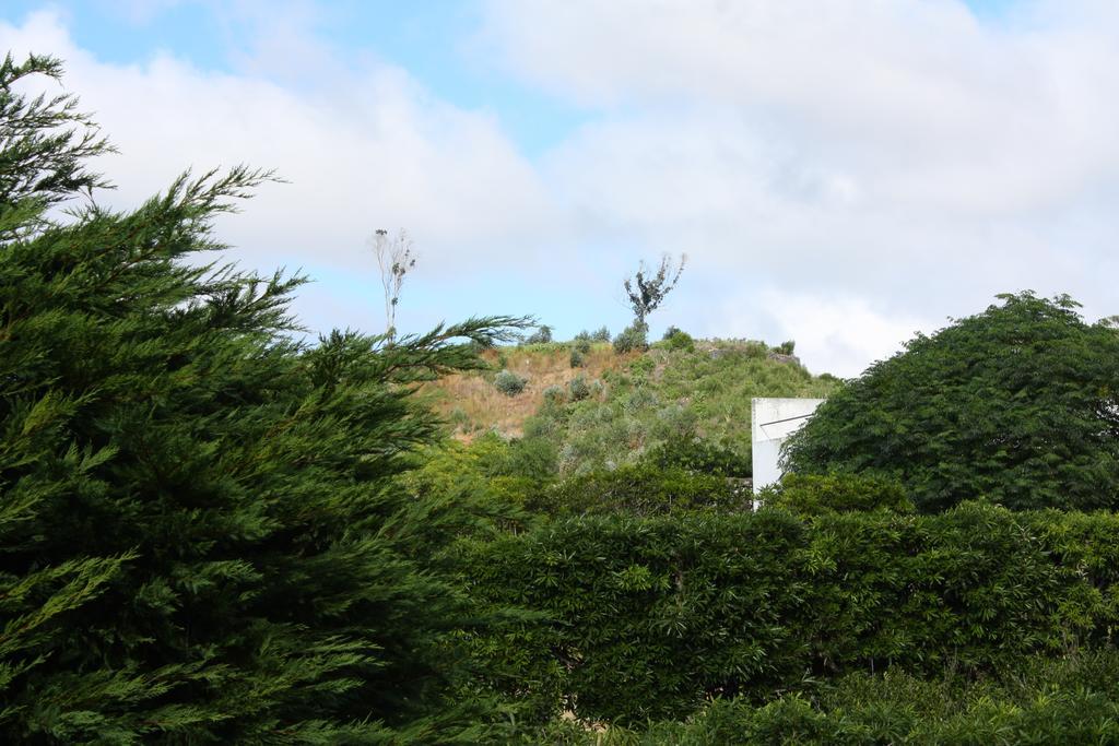 Apartamento Mar E Serra Ponta Delgada Zewnętrze zdjęcie